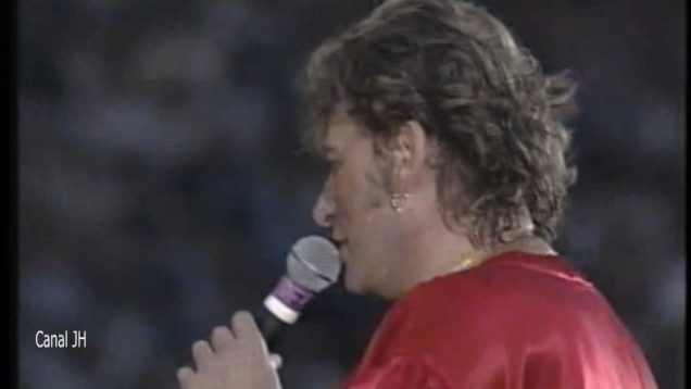 11. Johnny Hallyday – medley ann‚es 60 – Parc des Princes 1993 vignette