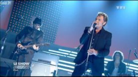 217. Johnny Hallyday – Jamais seul – 2011 vignette