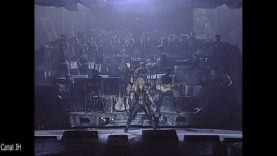 223. Johnny Hallyday – Le survivant – Palais des Sports 1982 vignette