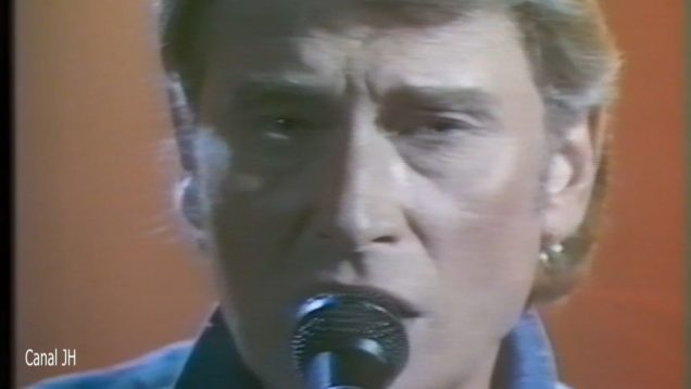 1001. Johnny Hallyday – Himalaya – 1990 vignette