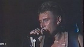 255. Johnny Hallyday – Toute la musique que j’aime Live – 1991(1) vignette