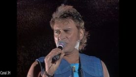 548. Johnny Hallyday – requiem pour un fou-1993 vignette