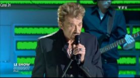 549. Johnny Hallyday – Le pénitencier – 2011 vignette