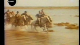 966-johnny-hallyday-la-nuit-johnny-m6-pour-moi-la-vie-va-commencer-1995-bloquee-son-coupe-mp4 vignette