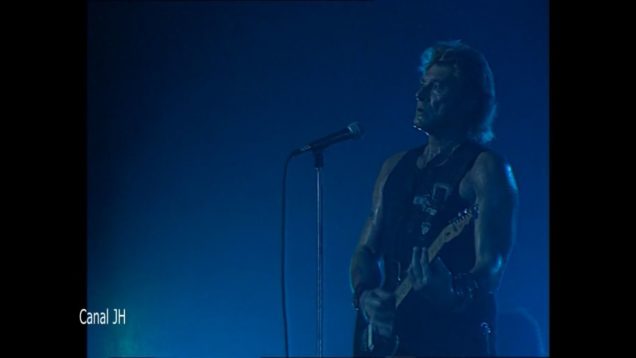 1093-johnny-hallyday-quelque-chose-de-tennesse-bercy-1992-mp4 vignette