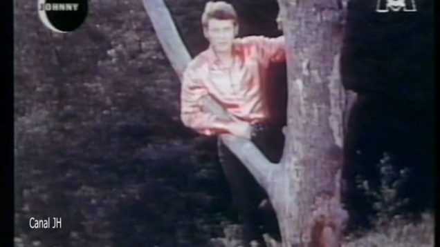 1112-johnny-hallyday-je-maccroche-a-mon-reve-nuit-m6-mp4 vignette