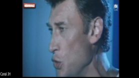 1128-johnny-halylday-rocknrol-attitude-nuit-hommage-m6-2017-mp4 vignette