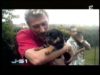 1173-johnny-hallyday-j-51-2003-mp4 vignette